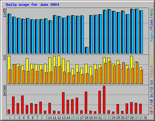 Daily usage for June 2024