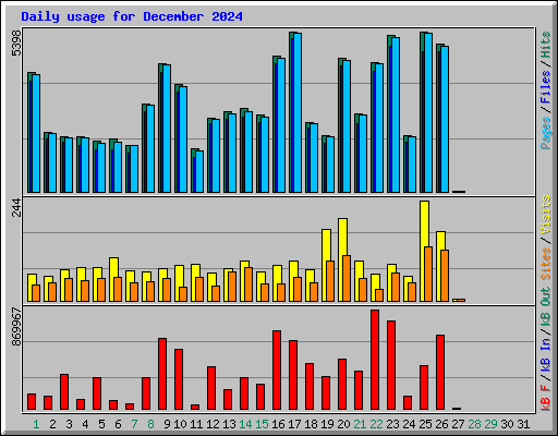 Daily usage for December 2024