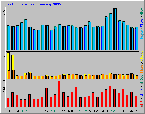 Daily usage for January 2025