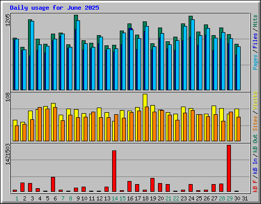 Daily usage for June 2025