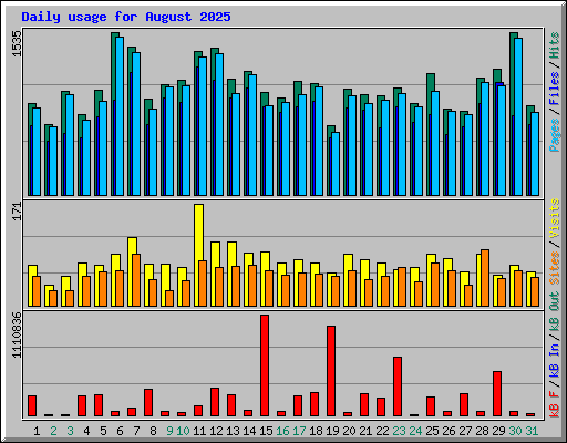 Daily usage for August 2025
