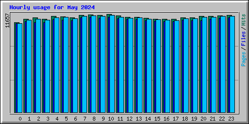 Hourly usage for May 2024