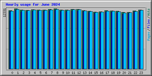 Hourly usage for June 2024