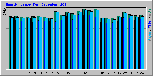 Hourly usage for December 2024