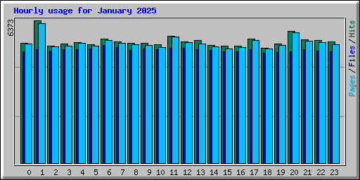 Hourly usage for January 2025