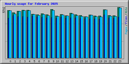 Hourly usage for February 2025