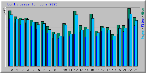 Hourly usage for June 2025