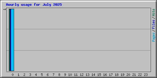 Hourly usage for July 2025