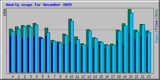 Hourly usage for December 2025
