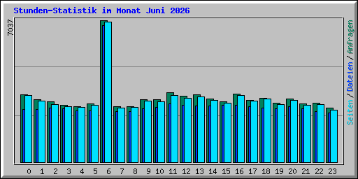 Stunden-Statistik im Monat Juni 2026